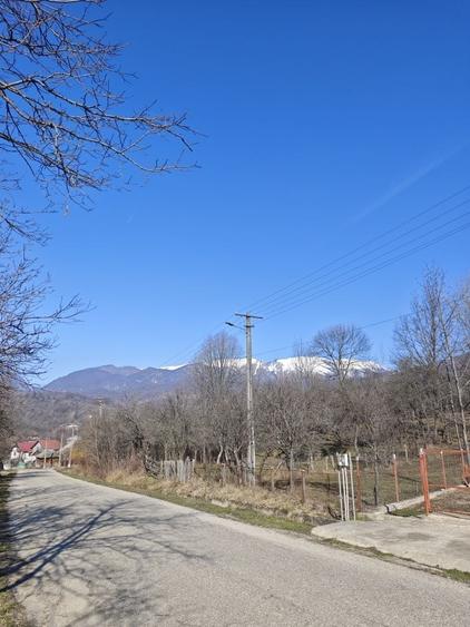 Teren de 2300 mp, în Bărbătești