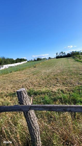Teren de 2805 mp, în Crizbav