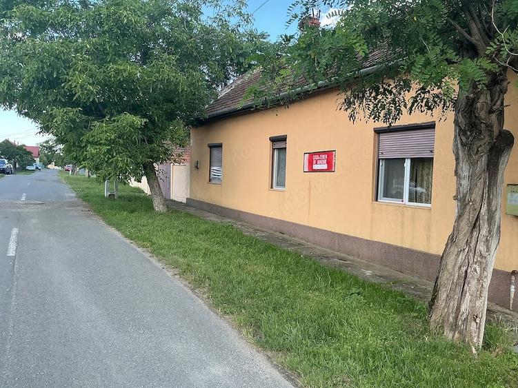 Casă cu 3 camere cu Teren 3300 Mp în Central