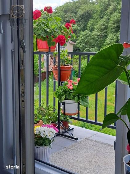 Apartament 3 camere - centrala proprie - Parc Mogosoaia - 17