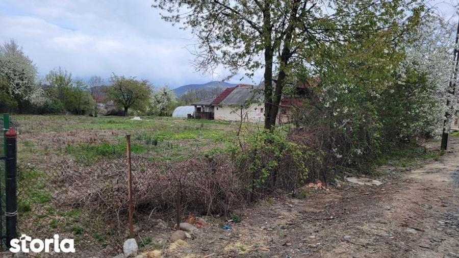 Teren de 4600 mp, în Recea