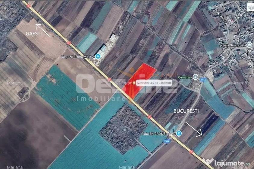 Teren intravilan, 5 loturi compacte in St de 28.331, Lunguletu, DB - Lunguletu (Dambovita) - 2