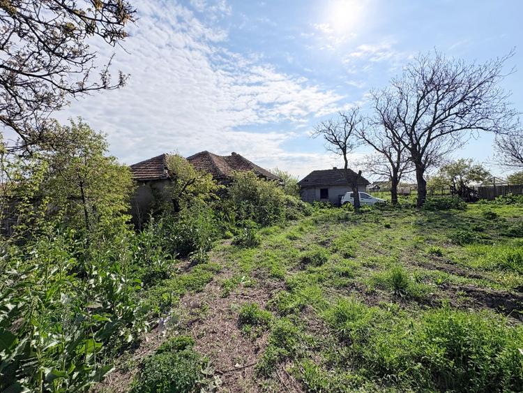 Teren Construcții intravilan de 2591 mp, în Cobadin