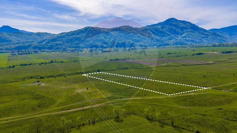 Teren agricol extravilan de 10000 mp, în Glăjărie