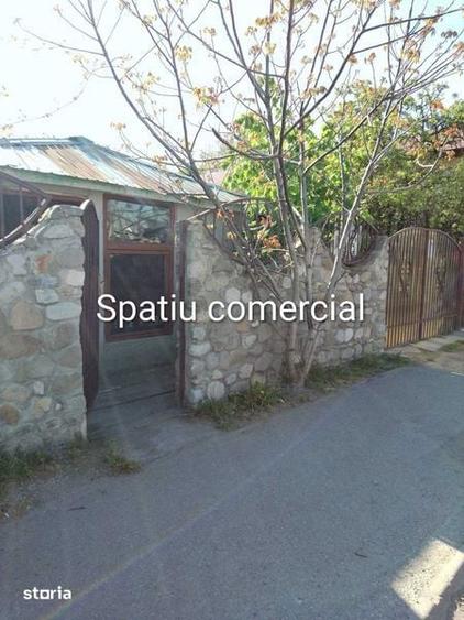 Casa traditionala, Filipestii de Targ/Prahova - 7