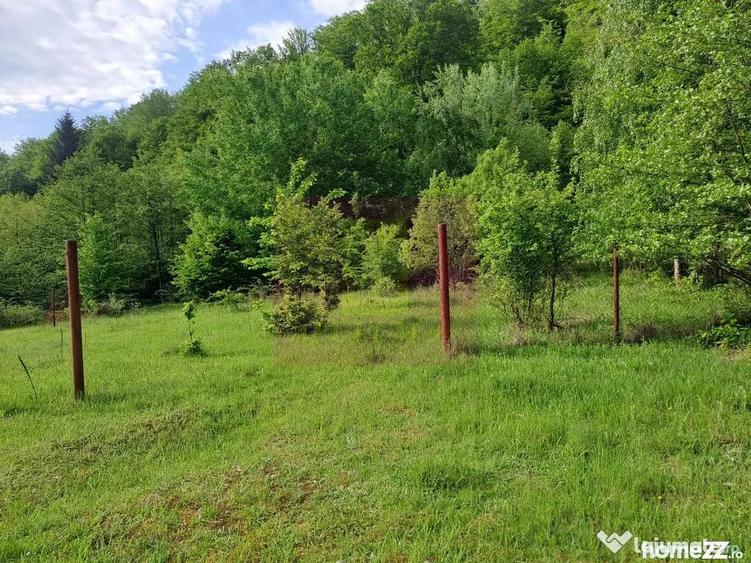 Teren de 834 mp, în Berevoești