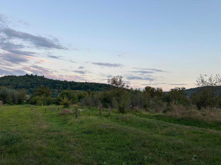 Teren de 2700 mp, în Brănești