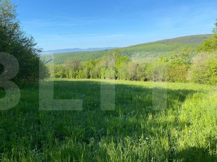 Teren Construcții intravilan de 7300 mp, în Popești