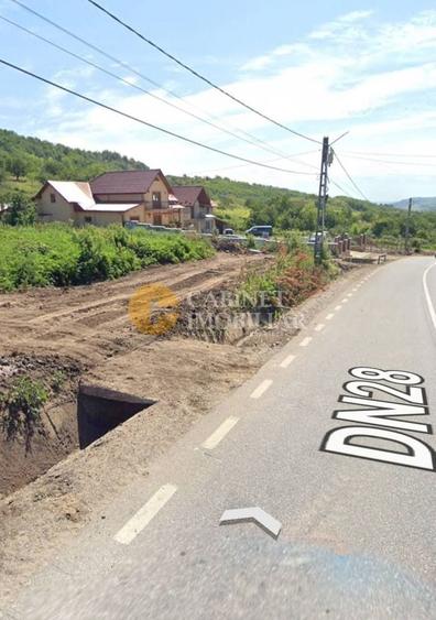 Teren Construcții de 2000 mp, în Răducăneni