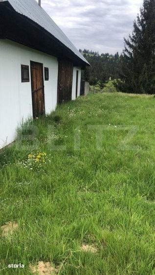 Teren de 38000 mp, în Tiha Bârgăului