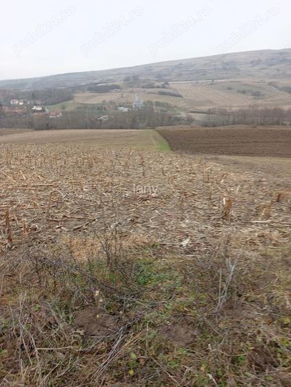 Gradina, teren 3000 mp