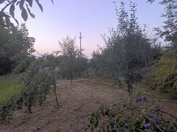 Casă cu 3 camere cu Teren 2200 Mp în Broșteni (Vișina)