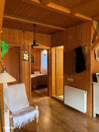 Vanzare teren 3000 mp, cabana, zona D D Rosca, Faget - 4