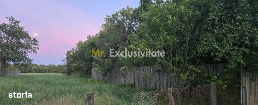 Casă cu 2 camere cu Teren 7769 Mp în Scoarța