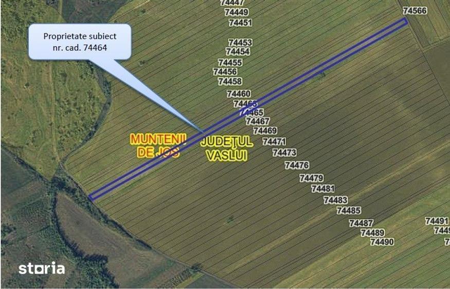 Teren de 24200 mp, în Muntenii de Jos