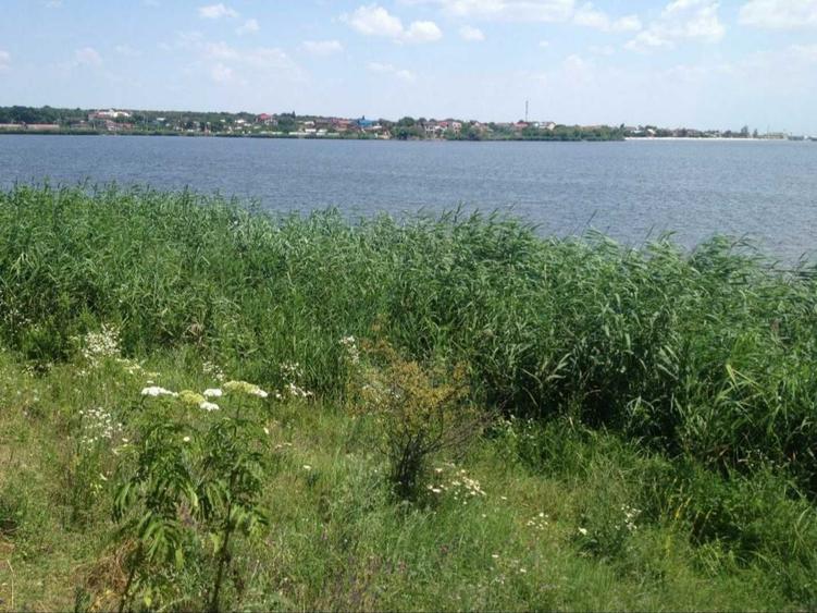 Particular, vand teren cu deschidere la lacul Cernica, langa padure - 7