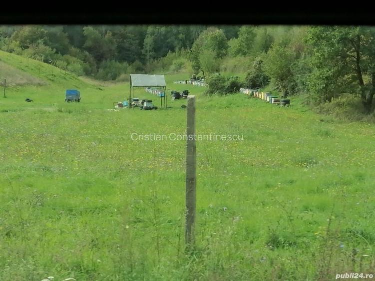 3288 Padure la Farliug, 3ha, cu titlu prop