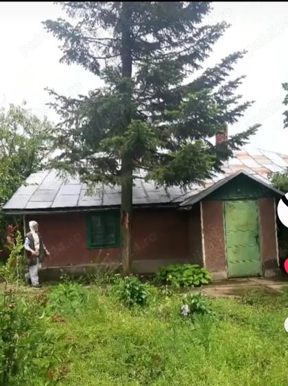 Casă cu 6 camere cu Teren 3365 Mp în Constantin Brâncoveanu
