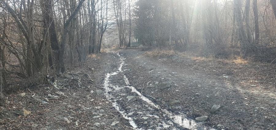 Casă cu 2 camere cu Teren 5300 Mp în Breaza