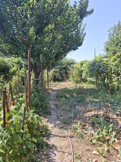 Casă individuală cu 4 camere cu Teren 400 Mp în Viile Noi