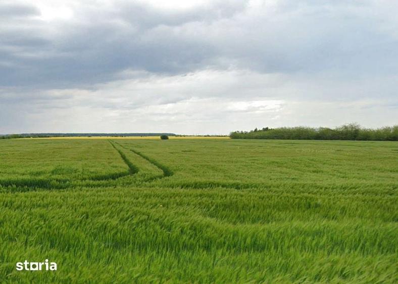 Teren de 17700 mp, în Tunari