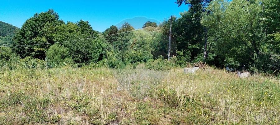 Teren Construcții intravilan de 3871 mp, în Vărmaga