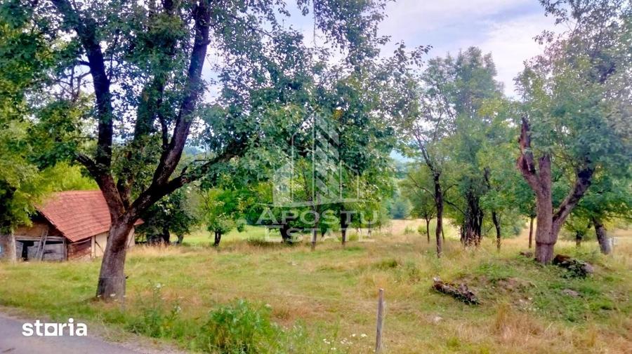 Teren de 1520 mp, în Almaș