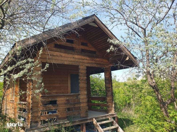 Teren intravilan IASI - COPOU - VITICULTORI - in vecinatatea padurii - 16