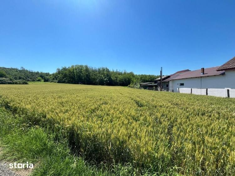 Teren de 2533 mp, în Brazda lui Novac