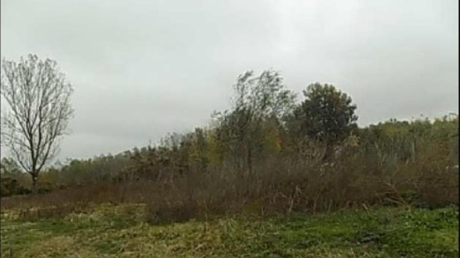Teren agricol extravilan de 4175 mp, în Puchenii Mari