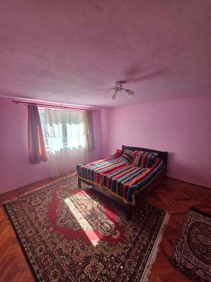 Casă individuală cu 5 camere cu Teren 4000 Mp în Pianu de Sus