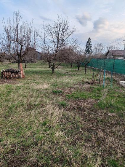 Casa de vanzare Toporu jud Giurgiu - 5