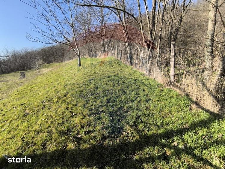 Teren de 2853 mp, în Urechești