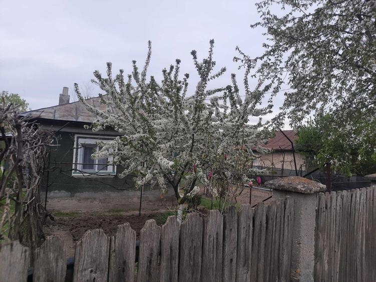 Casă cu 2 camere în Ștefănești