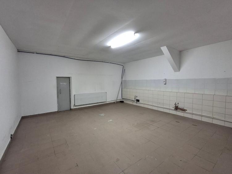 Spatiu depozitare/productie zona Giurgiului /Luica  - Giurgiului - 6