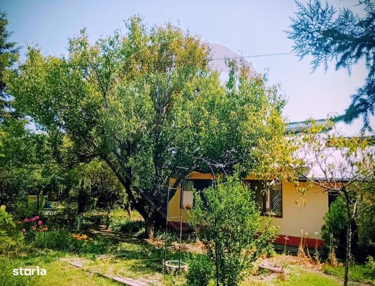 Casă cu 4 camere cu Teren 1129 Mp în Cunești