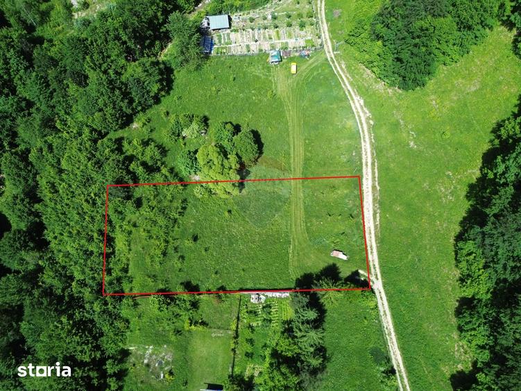 Teren de 1500 mp, în Tulnici