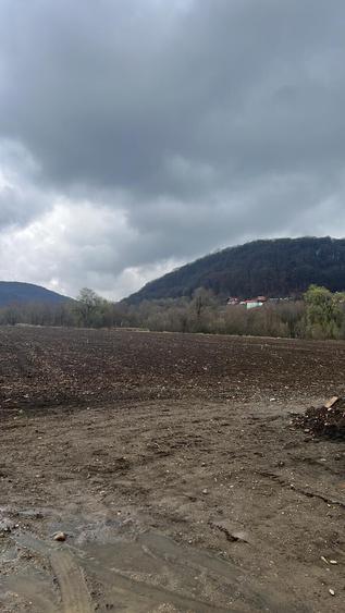 Teren Construcții intravilan de 6700 mp, în Albești