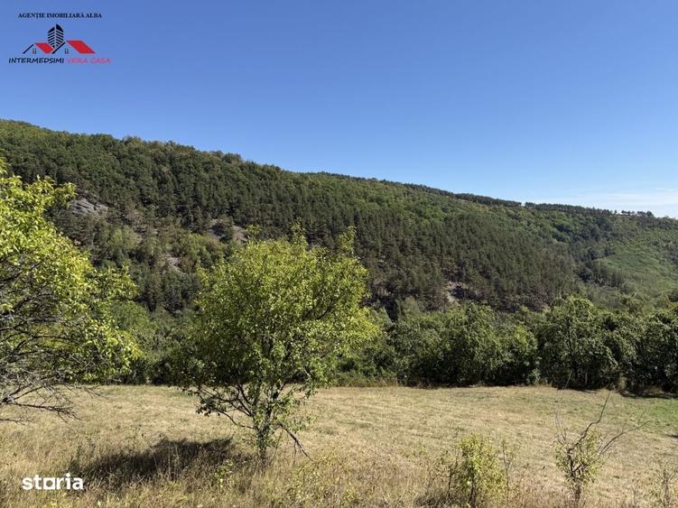 Spațiu comercial, în Valea Vințului