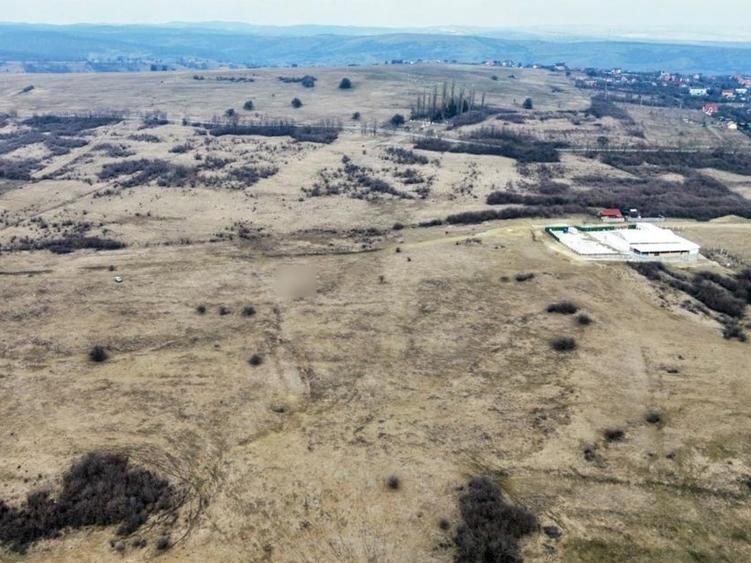 Teren agricol extravilan de 67500 mp, în Daia