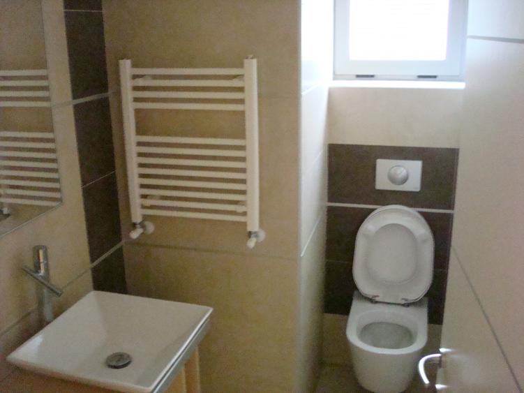 Casă cu 5 camere cu Canalizare în Herăstrău