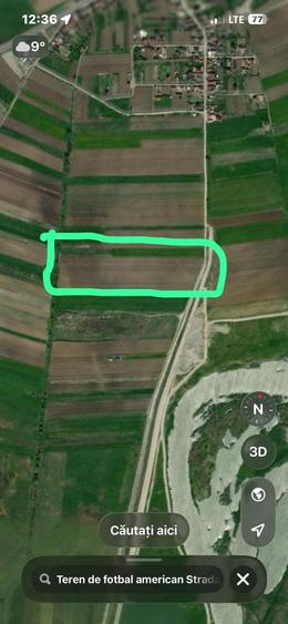 Teren de 10000 mp, în Bradu