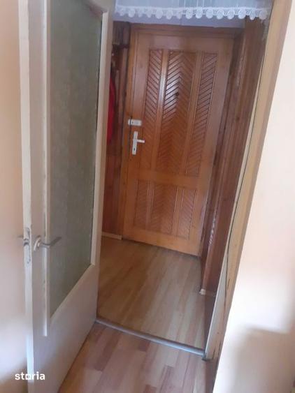 Apartament lipova - 1