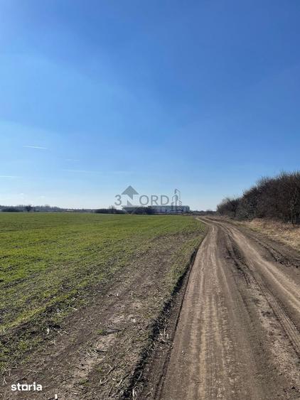 Teren de 9850 mp, în Central