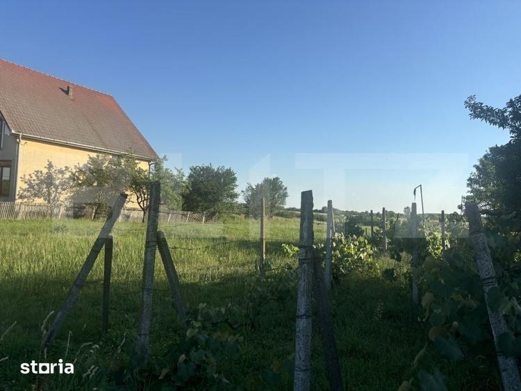 Teren de 1330 mp, în Viile Satu Mare