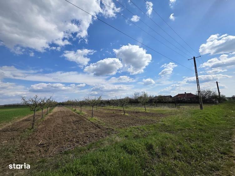 Casă cu 3 camere cu Teren 20000 Mp în Leleasca
