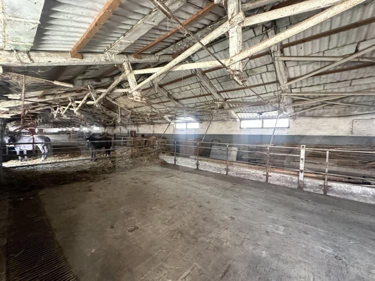 Spațiu industrial, de 356 mp, în Exterior Nord