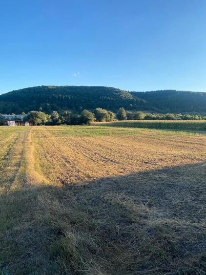 Teren de 2700 mp, în Gilău