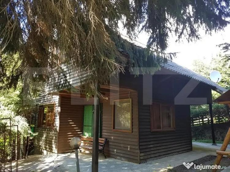 Cabana de vanzare, cu 4 camere, 100 mp, zona Piatra Fantanel - 6