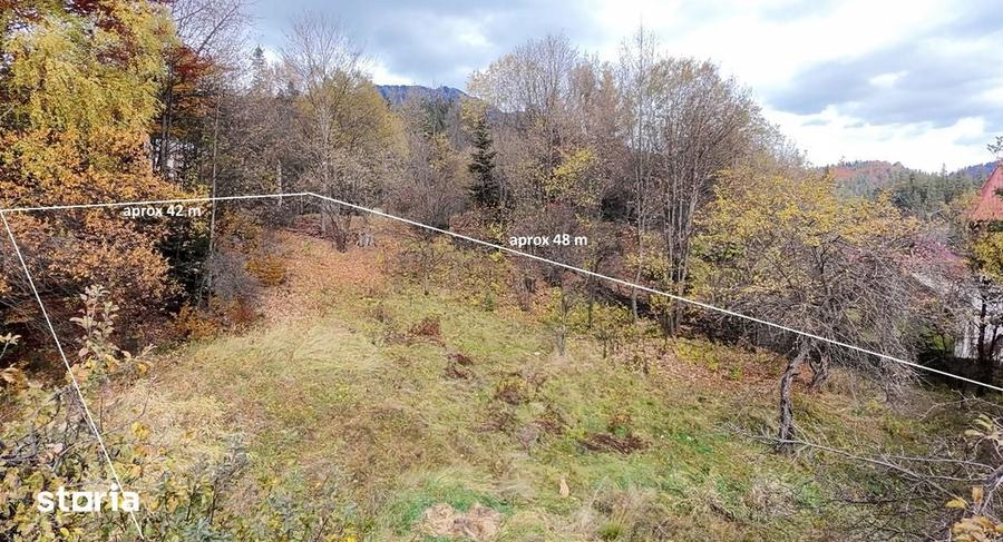 Casă cu 5 camere cu Teren 3908 Mp în Central